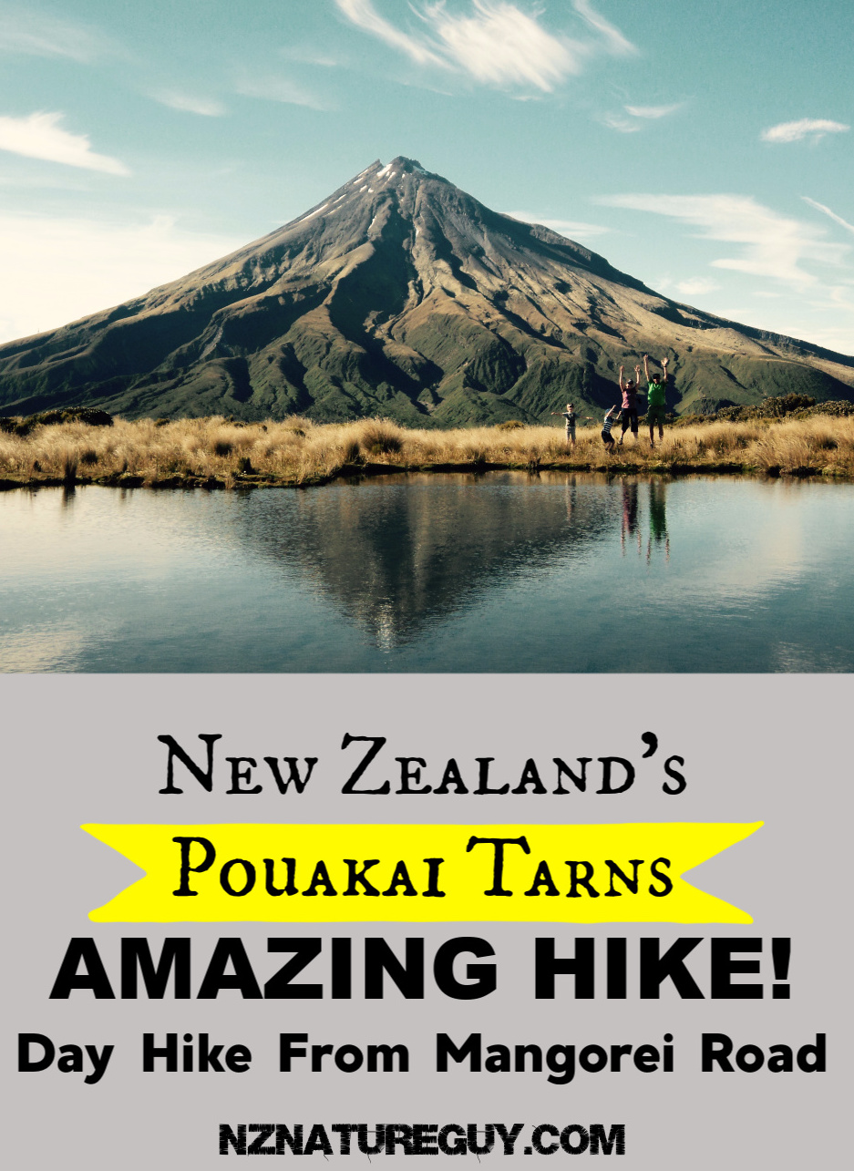 Pouakai Tarns Walk Via Mangorei Road - New Zealand Nature Guy